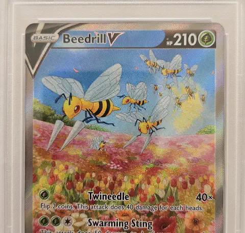 Face de Beedrill V 161/189 sous boîtier transparent, avec une étiquette PSA GEM MT 10 et le numéro 158290578.